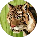 google maps comment image - 1